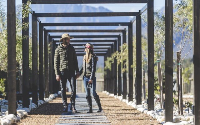 The Farmstead Franschhoek