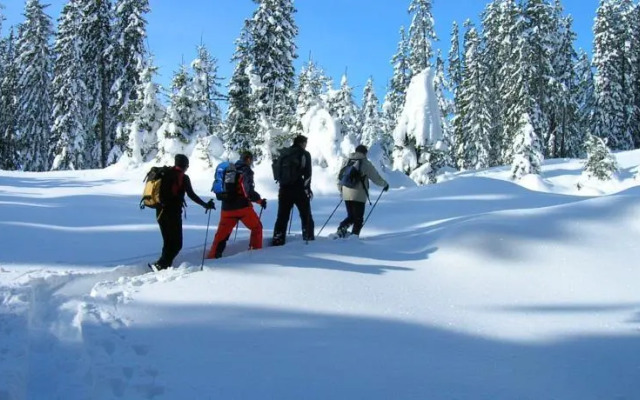 Wanderhotel Grüner Baum