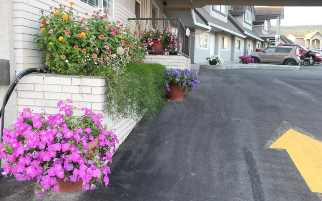 Best Budget Inn and Suites