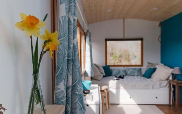 La Tete dans les Étoiles