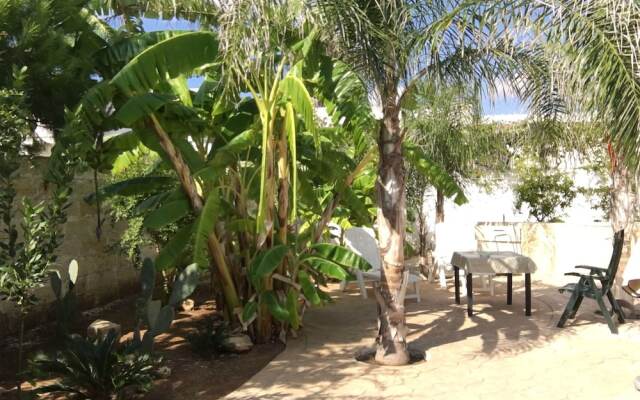 Punta Prosciutto Bed To Rent