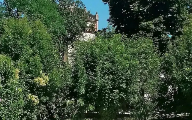 Les Hirondelles - domaine avec piscine