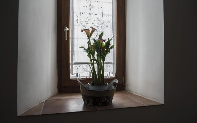 Casa Dolce Casa