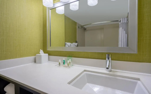 Holiday Inn Inner Harbor