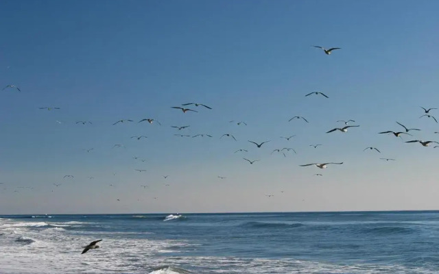 Holiday Inn Express & Suites Carpinteria by IHG