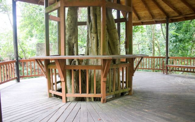 The Blue Mahoe Treehouse