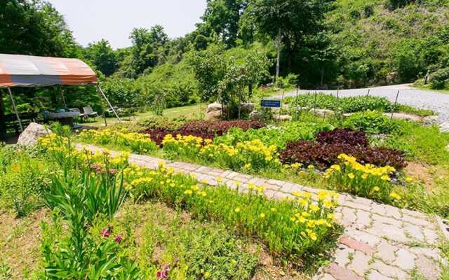 Donghae Red Clay Gueasthouse Pension