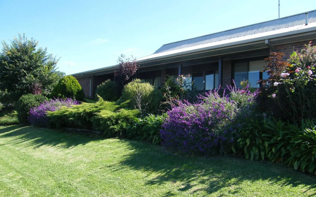 Boomers Guest House Hamilton