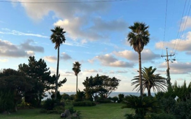 The Sea of Jeju Dream