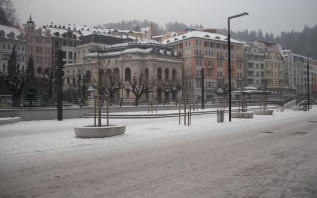 Apartmán Orchidej u Vřídla