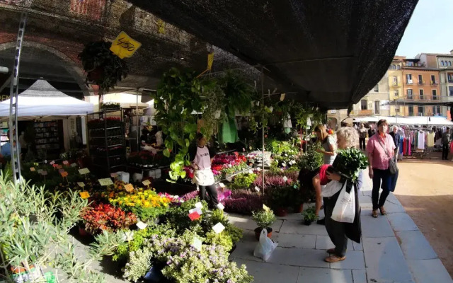 Luxury Apartment Stancesvic