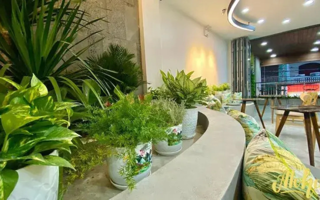 Aloha Hotel Vung Tau