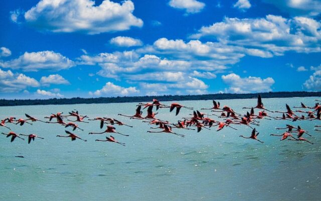 Beachfront Groundfloor Hacienda del Cuyo