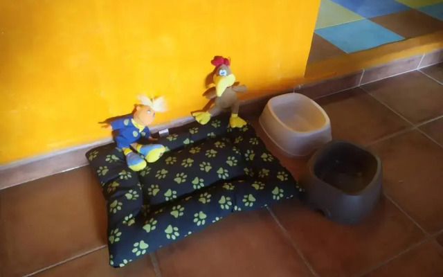 LOS ORIZOS Sierra de Gata Extremadura TR-CC-00392