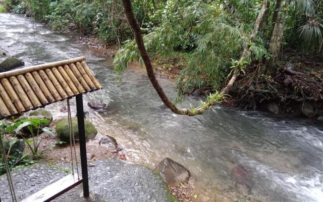 Tree Top River Huts