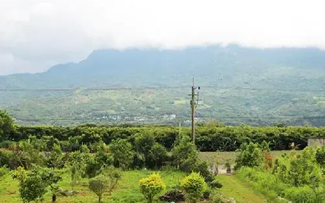 South 215 Homestay