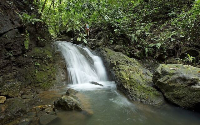 Bosque del Cabo Rainforest Lodge