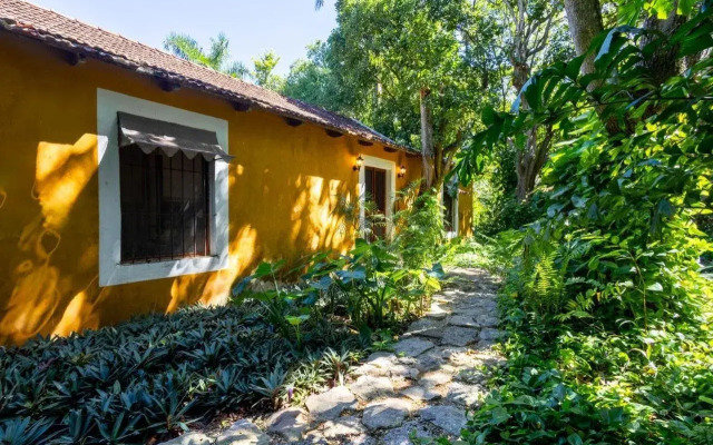 Hacienda San Antonio Millet