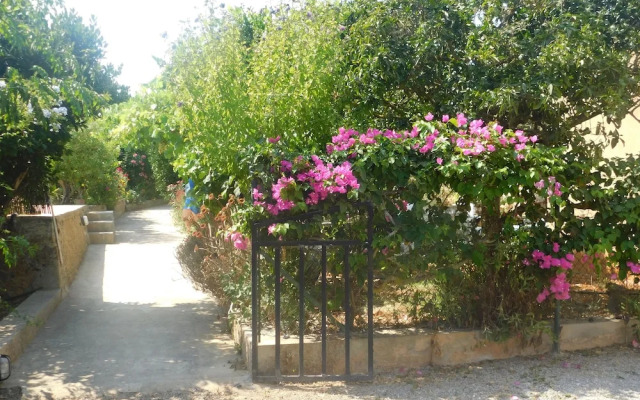 Spacious Villa Ideal Families and Groups