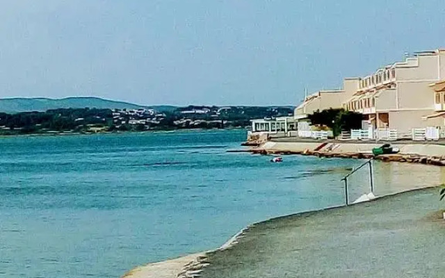 T3 Vue Etang