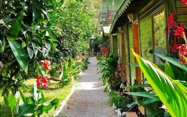 Olympos Tatilya Pansiyon