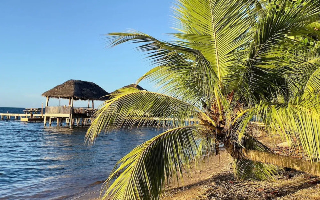 Roatan Infinity Pool & Ocean View