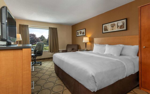 Comfort Inn Highway 401