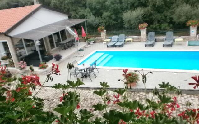 Guest House Soši