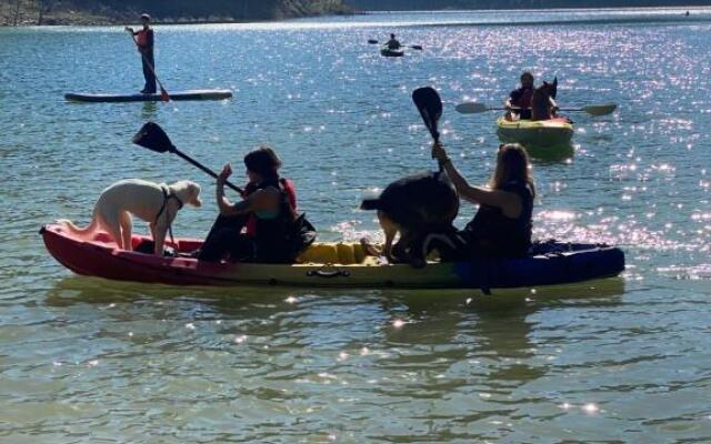 Summer Vibe Apartment