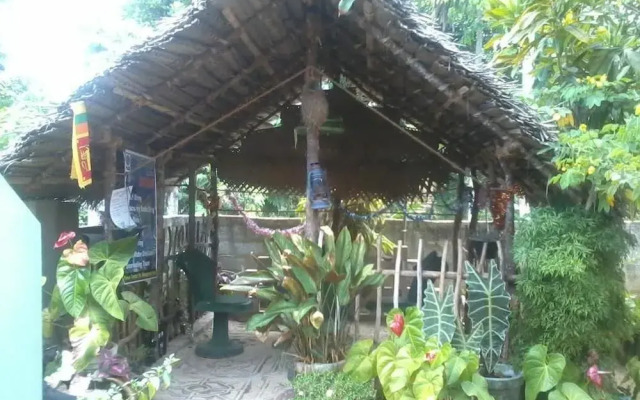Himasha Guest