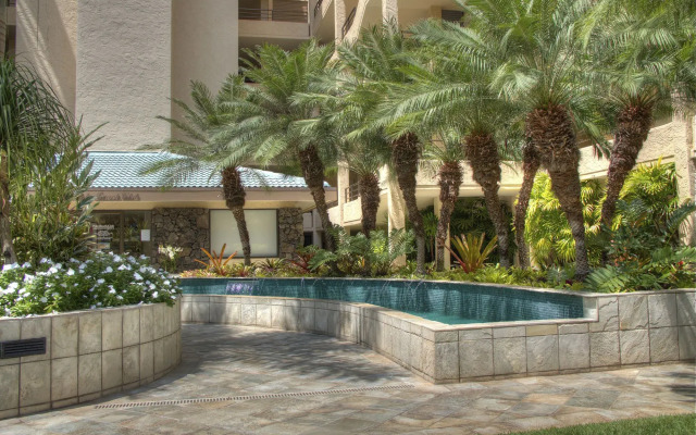Polo Beach Club Vacation Rentals - APlus Resorts