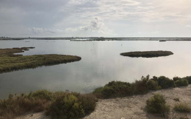 Lovely holiday home in Amposta with a terrace