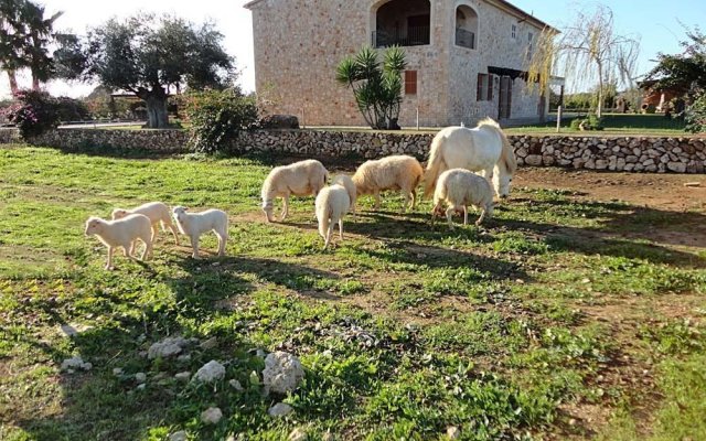 Finca Casa Maria