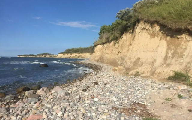 Black-headed Gull Comfortable Holiday Residence