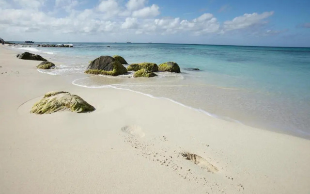 Villa Bougainvillea Aruba Rumba Suite