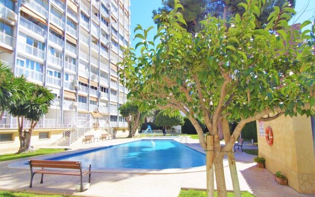 Apartamento Albatros 15 - 1