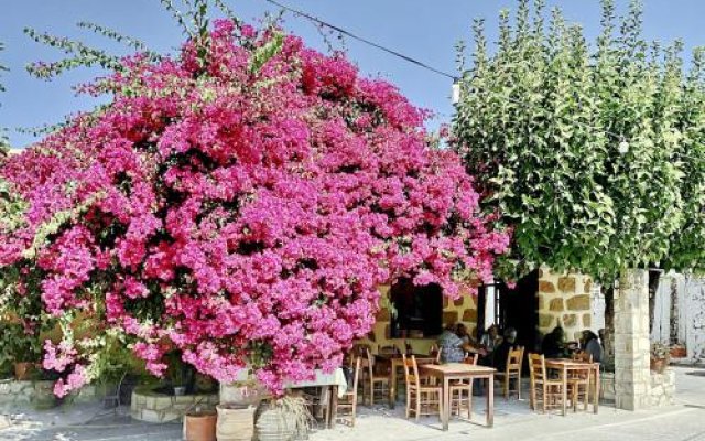 Villa Artemis Vryses Crete