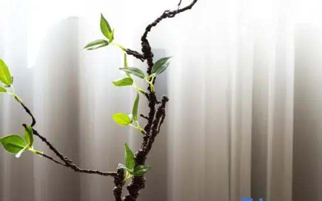 Yiduo Hotel (Nanning Zoo)