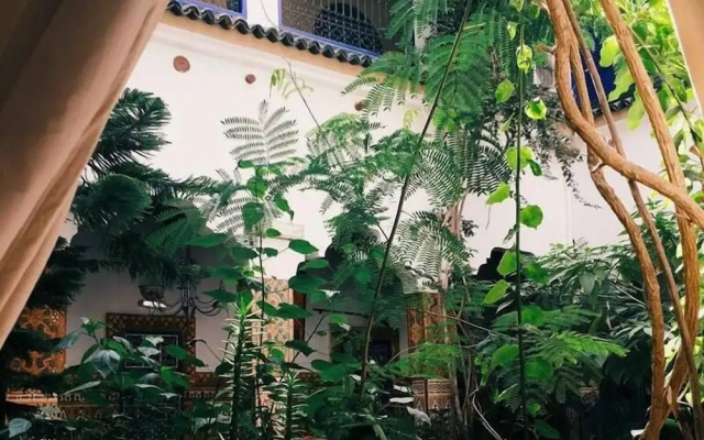 Riad Maryam
