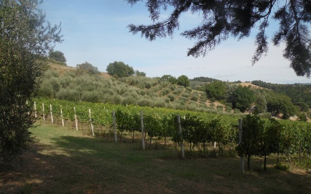 "podere Caldaruccio La Pineta - Torretta"