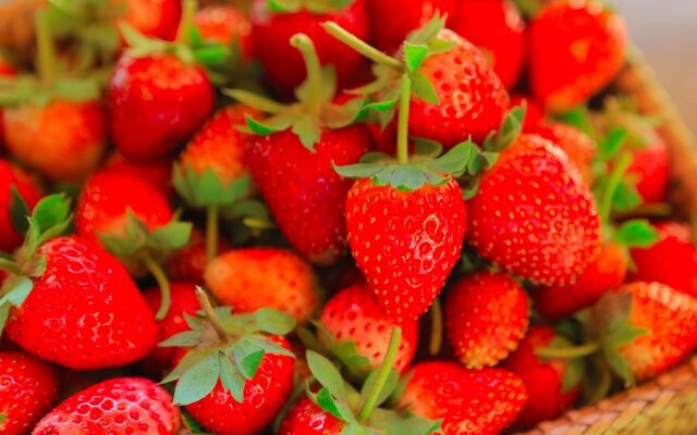 Doi Nok Strawberry Resort - ดอย นก สตรอเบอร์รี่ รีสอร์ทแอนด์เรส