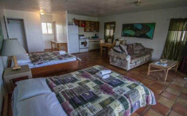 Backpackers Vacation Inn and Plantation Village