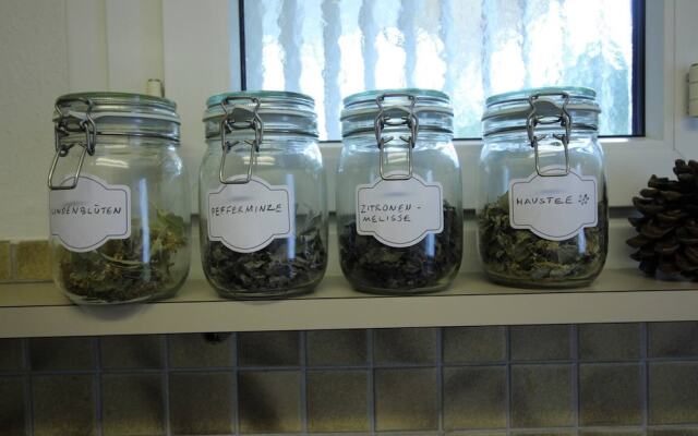 Casa Schilling- 2,5 Rooms With Balcony Near Hospital, University