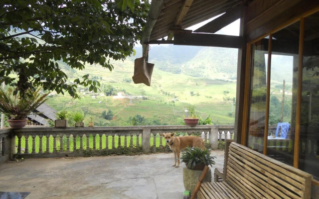 Lucky Daisy Buffalo House