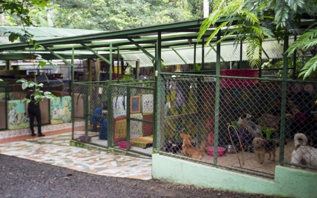 Lands in Love Tierras Enamoradas