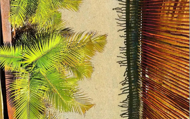 Ecoco Holbox - Ecochic - Holbox Retreat - Adults Only