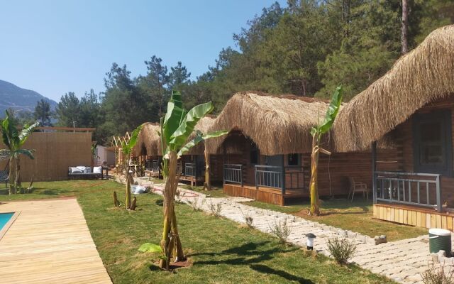 Pine Village Bungalows Ölüdeniz