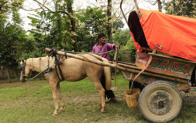 Chitwan Safari Camp & Lodge