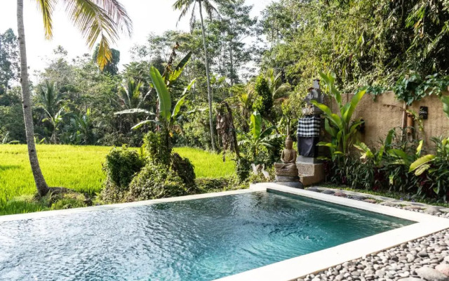 Bali Bamboo Jungle Huts And Hostel