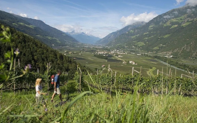 Vitalpina Hotel Belvedere Naturns - Adults Only - 14 Plus